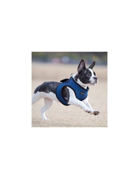 Harnais Pour Chien Bleu Puppia Soft Veste