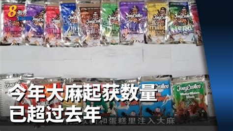 肃毒局：今年大麻起获数量已超过去年 Youtube