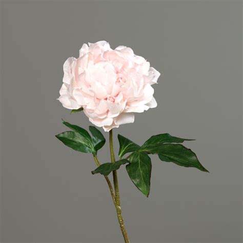 Tige Pivoine Rose Clair Artificielle H 56 Cm Jardiland