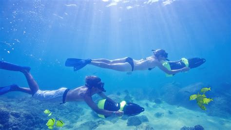 Snorkel & sea Adventure - My Experience Tours