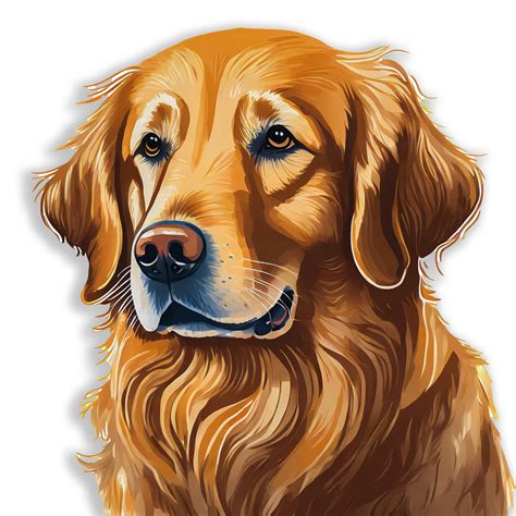 Dog Golden Retriever Cartoon Free Stock Photo Public Domain Pictures