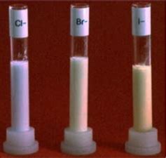 Halide Test | What, Conditions, Tests & Outcome