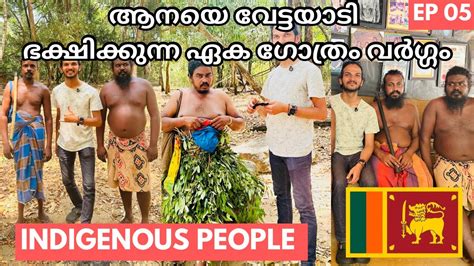 ആനയ വടടയടനന ഗരമ Indigenous People Vedda Tribe in Sri lanka