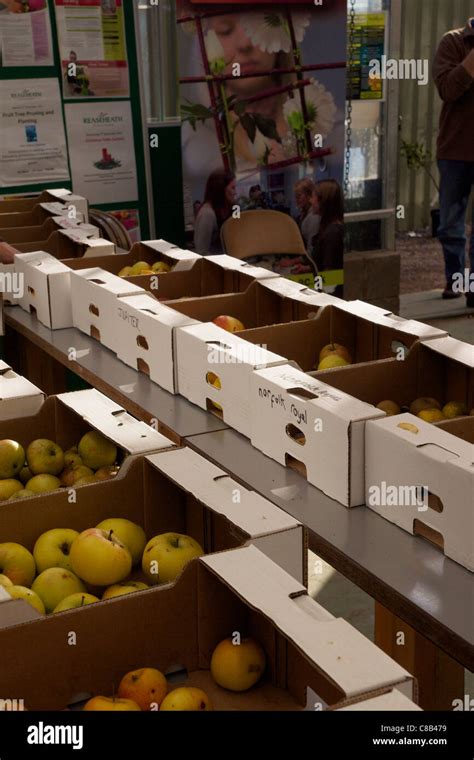 Variedades de manzanas fotografías e imágenes de alta resolución Alamy