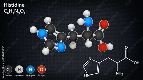 Histidine Symbol His Or H Is An Amino Acid That Is Used In The