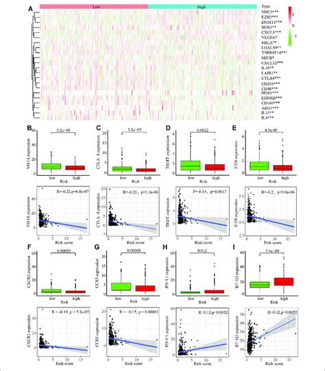 Immune Cell Infiltration In The Tumor Microenvironment TME In LUAD