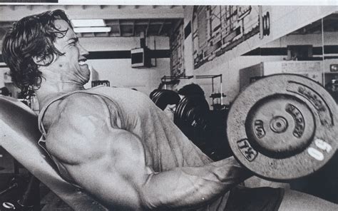 Arnold Schwazenegger Arnold Schwarzenegger Bodybuilding Bodybuilder