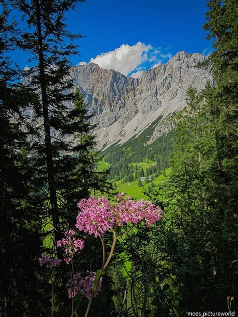 Zugspitze Alpes Foto Gratuita No Pixabay Pixabay