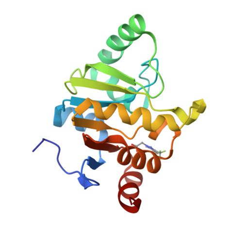 Rcsb Pdb Rup Pandda Analysis Group Deposition Crystal Structure