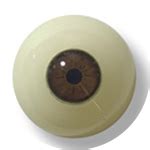 Big Booty Busty Sex Doll Torso Vanessa Kanadoll