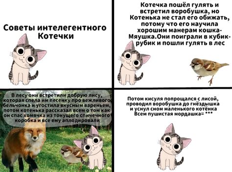 Толерантный паблик | ВКонтакте