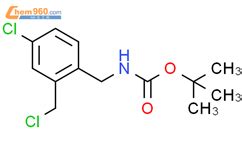 Tert Butyl N Chloro Chloromethyl Phenyl Methyl Carbamate