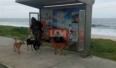 Moradores em situação de rua são resgatados seus animais em Maricá