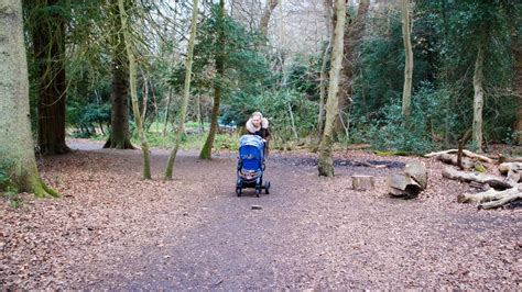 National Trust Box Hill Nature Trail Surrey The Outdoor Guide