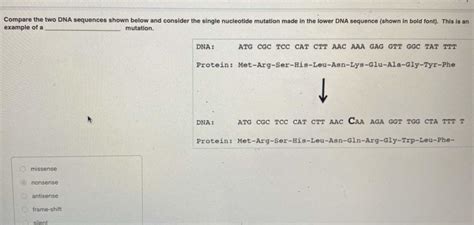 Answered Compare The Two DNA Sequences Shown Bartleby