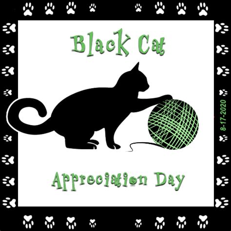 BLACK CAT APPRECIATION DAY, SPARKS & AWWW MONDAYS » The Cat On My Head