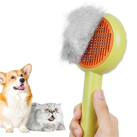 I Tested The Purry Self Cleaning Brush Here S My Honest Review