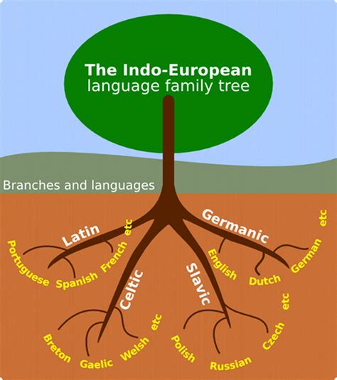 Naissance Des Langues En Europe