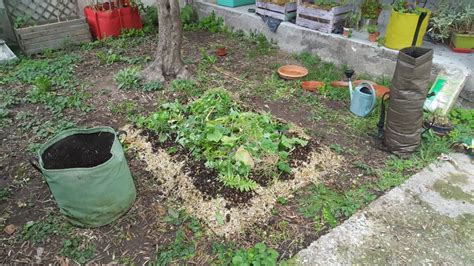 Comment Faire Une Lasagne Au Potager Conseils Et Astuces