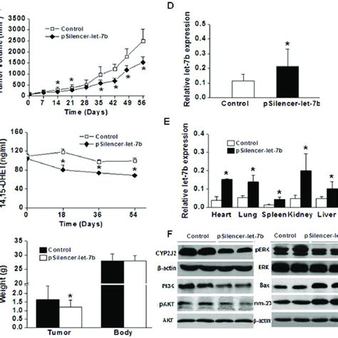 A Proliferation Assay Via Cell Light Edu Dna Cell Proliferation Kit