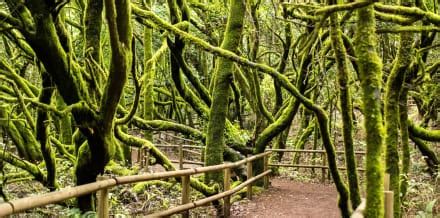 Meilleures Excursions La Gomera Hellotickets