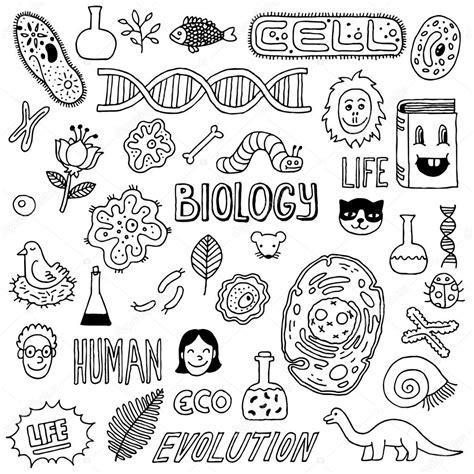 Biology Doodles Stock Vector Sashatigar