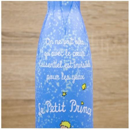 Botella Agua T Rmica Enesco Acero Inoxidable El Principito En Su Paneta