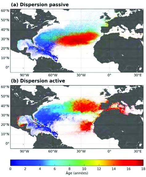 Cartes de dispersion de Luths nouveau nées à partir du site de