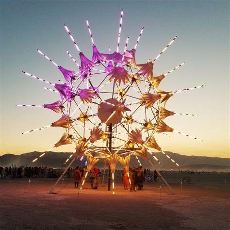 Embrace The Dust A Burning Man Journal Smithsonian American Art Museum