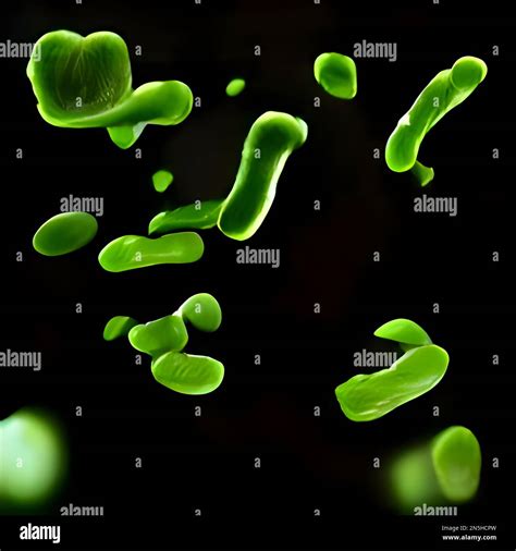 Microscopic Bacteria Legionella Pneumophila Illustration Stock Photo