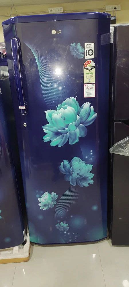 Blue Lg Refrigerator 260 Ltr Single Door Capacity 250 L At Rs 24500