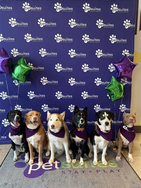 waterford lakes movies 3