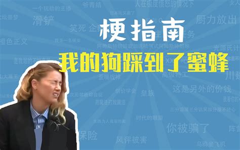 我的狗踩到了蜜蜂是什么梗【梗指南】 梗指南 梗指南 哔哩哔哩视频