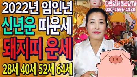 2022년 임인년 신년운 돼지띠 운세 알아봅시다 28세 40세 52세 64세 좋은 운세 나이와 띠 다연암 해울신당