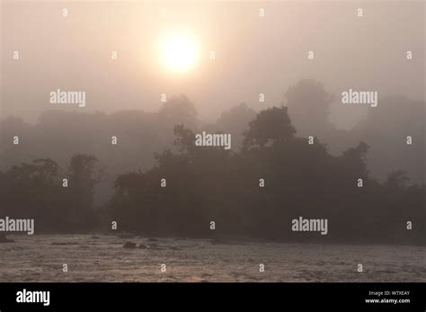 Ituri rainforest hi-res stock photography and images - Alamy