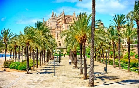 Los 6 MEJORES Free Tours Por Palma De Mallorca Gratis