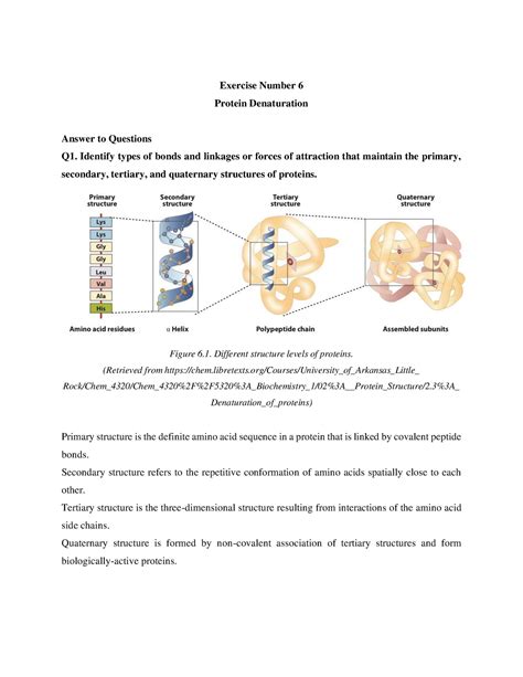 Biochem Lab Protein Denaturation Exercise Number Protein