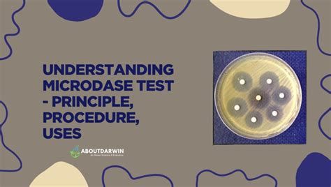 OF Test: Decoding Oxidation Fermentation in Microbes