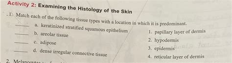 Solved Activity 2 Examining The Histology Of The SkinMatch Chegg