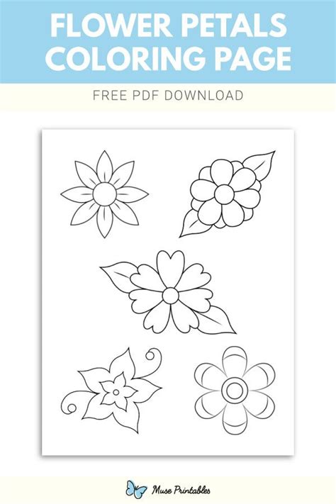 Free Flower Petals Coloring Page Flower Printable Coloring Pages