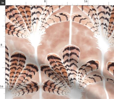 Divine Light Red Tailed Hawk Feather Fabric Spoonflower