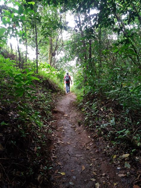 Kudremukha Peak - TerrainXplorer