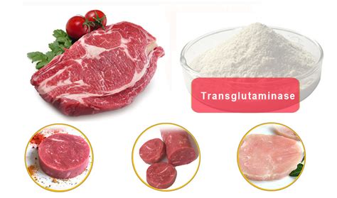 The Application Of Transglutaminase In Meat Products Foodchem