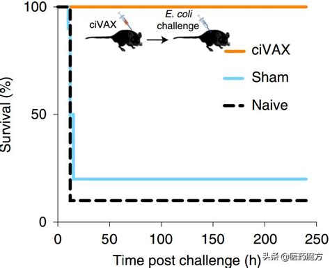 A breakthrough in solving microbial resistance: Harvard developed a ...