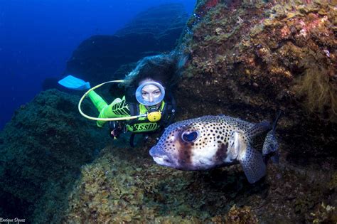 Fotos Para El Confinamiento Y Curiosidades Blog Centro De Buceo En