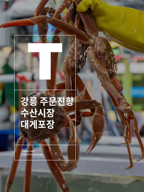 강릉 주문진 수산시장 대게 포장 주문진항 갈만한곳 네이버 블로그