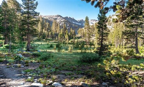 Swap This National Park For This National Forest Usa Trip Ideas