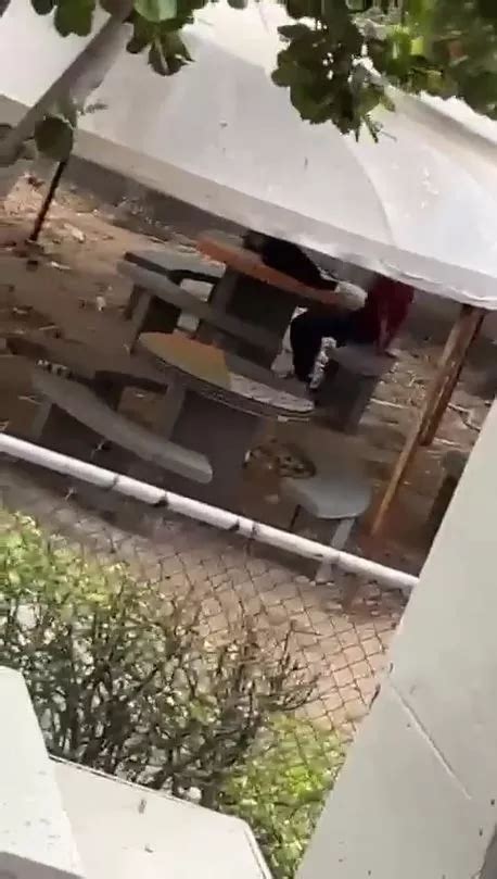Giggling Students Film Randy Couple Having Sex On University Campus Daily Star