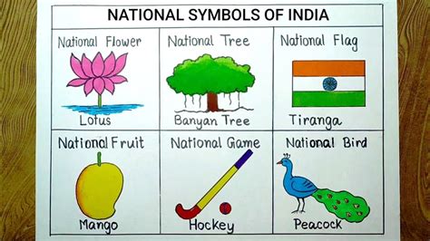 National Symbols Of India Drawing How To Draw National Symbols Of