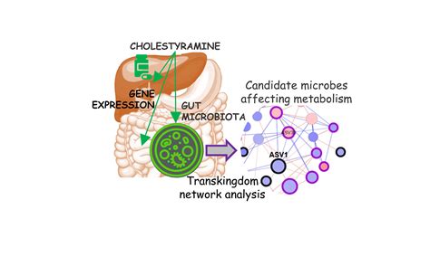 Cholestyramine